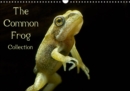 The Common Frog Collection 2019 : Informed collection of images from the lifecycle of the Common frog. - Book