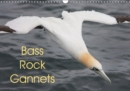 Bass Rock Gannets 2019 : A collection of images from Bass Rock, Scotland, home to the largest offshore Northern Gannet colony in the world. - Book