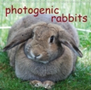 photogenic rabbits 2019 : an amusing planner about our favorite pets - Book