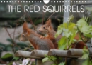 The red squirrels 2019 : About the life of a German red squirrel family. - Book