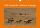 Takh, les derniers chevaux sauvages 2019 : Nom mongol de ce cheval originaire d'Asie Centrale - Book