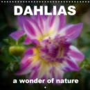 Dahlias  a wonder of nature 2019 : Wonderful dahlias, presented in a warm light - Book