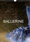 BALLERINE 2019 : Photos de cours de ballet et de chaussons de danse. - Book