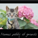 Minous petits et grands 2019 : Calendrier sur les chats - Book
