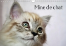 Mine de chat 2019 : Photos fascinantes des tigres de salon prises de tres pres. - Book