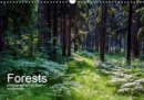 Forests photographed on four continents 2019 : See pictures of forests in Germany, Namibia, South Africa, Australia and USA. - Book
