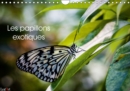 Les papillons exotiques 2019 : Calendrier mensuel de 14 pages dedie aux  majestueux papillons - Book