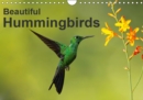 Beautiful Hummingbirds 2019 : Nice images that capture the beauty of these tiny creatures. - Book