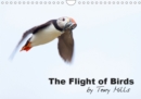 The Flight of Birds by Tony Mills 2019 : Birds in flight, photographs by Tony Mills - Book