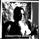 FORGOTTEN WORDS 2019 : The project contains the recollections of memories from the distant past. - Book