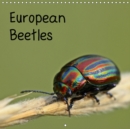 European Beetles 2019 : 12 different species of European beetle in macro shots, some of them on the Red List of Threatened Species. - Book
