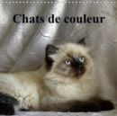 Chats de couleur 2019 : Chats et chatons de coleur avec de magnifiques yeux bleus. - Book