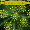 La magie vegetale 2019 : Fleurs et flore, un feu d'artifice de couleurs - Book