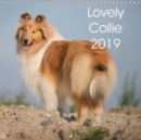 Lovely Collie 2019 2019 : Lovely Collie Month for Month - Book
