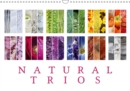 Natural Trios 2019 : Enjoy the beauty of natural colour trios - Book