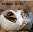 European Spiders 2019 : 13 macro shots of  eight different species of European spiders, some of them with prey. - Book