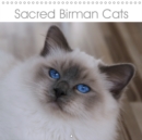 Sacred Birman Cats 2019 : Blue eyes, white paws - The Birman Cats calendar - Book