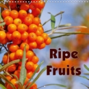 Ripe Fruits 2019 : A kitchen calendar with local and exotic fruit. - Book