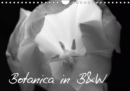 Botanica in B&W 2019 : Black and White Images of Botanica, Trees, Flower and Plants - Book