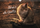 Blues de Chats 2019 : Des chats eleves avec le blues dans le sang ! - Book