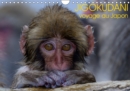 JIGOKUDANI voyage au Japon 2019 : Un voyage a travers de magnifiques portraits de macaques japonais - Book