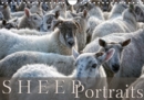 Sheep Portraits 2019 : Discover 12 beautiful portraits of sheep in the countryside - Book