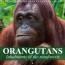 Orangutans Inhabitants of the rainforests 2019 : Intelligent creatures who clearly have the ability to reason and think - Book