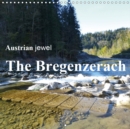 Austrian jewel - The Bregenzerach 2019 : A walk through the Natura 2000 Reservation of the Bregenzerach - Book