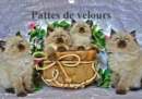 Pattes de velours 2019 : Seance photos de chatons - Book