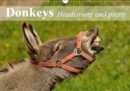 Donkeys Headstrong and pretty 2019 : The smallest member of the horse family. - Book