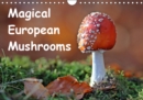 Magical European Mushrooms 2019 : Eleven different species of mushrooms in some unusual and original macro shots, all taken in Northern Hessen. - Book