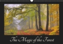 The Magic of the Forest 2019 : Different types of forests in the course of the year - Book