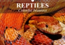 Reptiles Colorful beauties 2019 : Cold-blooded beauties - Book