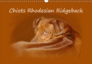 Chiots Rhodesian Ridgeback 2019 : Photographies de chiots de Rhodesian Ridgebacks en Afrique du Sud. - Book