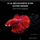 A LA DECOUVERTE D'UN AUTRE MONDE animal et vegetal 2019 : Un univers graphique et feerique - Book