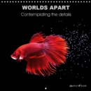 WORLDS APART Contemplating the details 2019 : Discover my graphic and colored universe, bursting with visual sensations. - Book