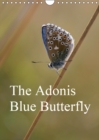 The Adonis Blue Butterfly 2019 : The Adonis Blue Butterfly is one of the most visually stunning insects usually only glanced at on a Summers day. This Calendar brings to the reader its true splendour. - Book