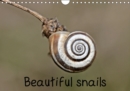 Beautiful snails 2019 : Six different native snail species in 13 color macro shots. - Book