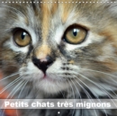 Petits chats tres mignons 2019 : Photos fascinantes des tigres de salon prises en gros plan. - Book