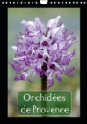 Orchidees de Provence 2019 : Orchidees rencontrees dans les Alpilles et le Luberon - Book