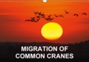 Migration of Common Cranes 2019 : Photographs of Common Cranes on their migration route through Northern Germany - Book