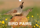 Bird Pairs 2019 : Photographs of bird pairs - Book