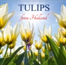 Tulips from Holland 2019 : Wonderful Tulips from Holland are bringing love and colours into your life. - Book
