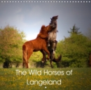 The Wild Horses of Langeland 2019 : The wild horses of Dovns Klint at the southern tip of Langeland, Denmark - Book