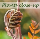 Plants close-up 2019 : Interesting close-ups of different plants - Book