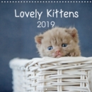 Lovely Kittens 2019 2019 : 12 lovely kittens - 12 full-colour images - Book