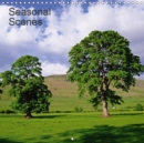 Seasonal Scenes 2019 : Seasonal Scenes - Book