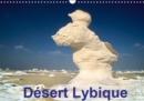 Desert Lybique 2019 : Desert blanc dans l'oasis de Farafra - Book