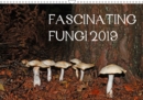 FASCINATING FUNGI 2019 2019 : Fungi found in the UK - Book