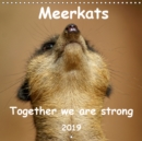Meerkats - Together we are strong 2019 2019 : Meerkats are cute little predators. - Book
